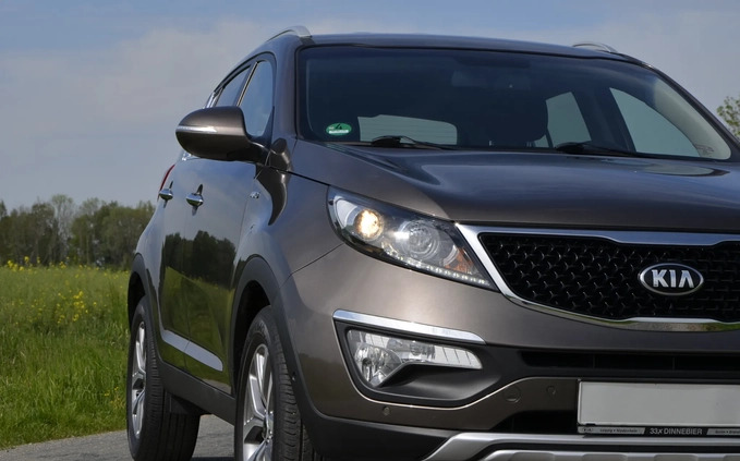 Kia Sportage cena 62500 przebieg: 89801, rok produkcji 2015 z Sompolno małe 781